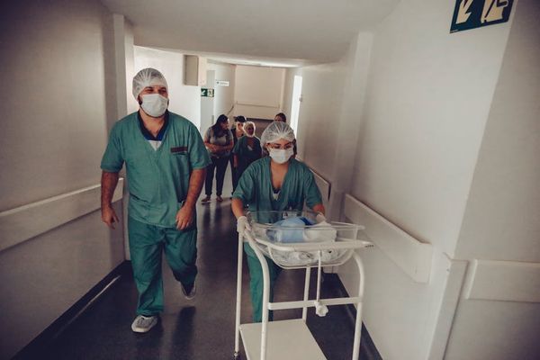 Vidal Balielo Jr. באתר PEXELS מומחה לגיל חודש: הכל שצריך לדעת